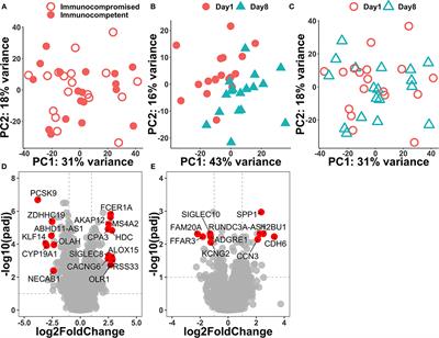 Using RNA-Seq to Investigate Immune-Metabolism Features in Immunocompromised Patients With Sepsis